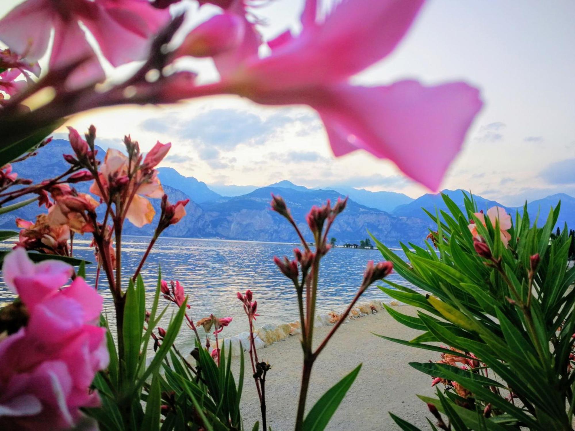 Hotel Drago - Garda Lake Collection Бренцоне-суль-Гарда Экстерьер фото