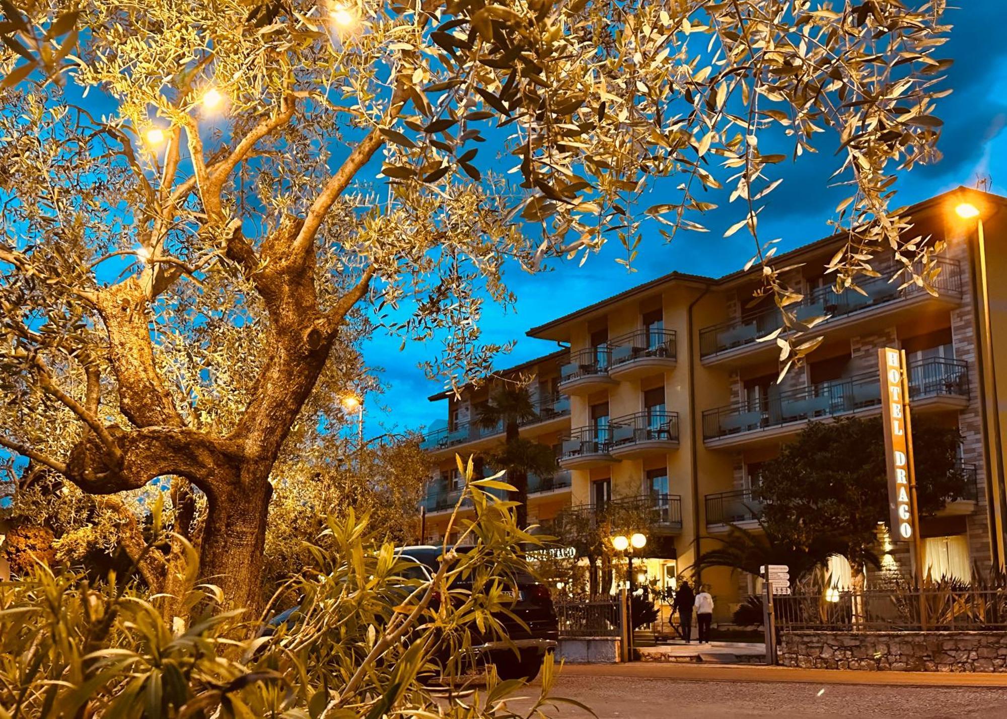 Hotel Drago - Garda Lake Collection Бренцоне-суль-Гарда Экстерьер фото